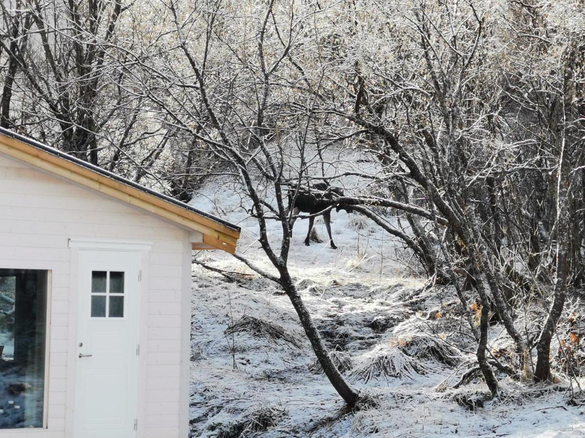 Relaxing Cabin Villa Gravdal  Esterno foto